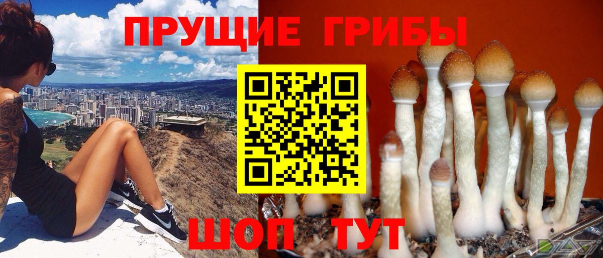 Псилоцибиновые грибы ЛСД Чехов