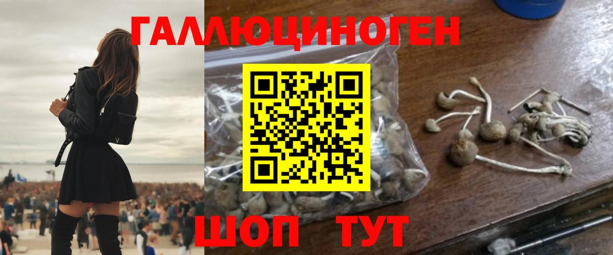 Галлюциногенные грибы Cubensis  купить   Чехов  Вход с VPN  Галлюциногенные грибы мицелий 